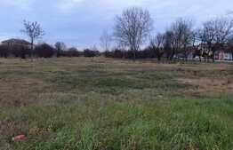 Ocazie! Intravilan, puz cu 50 apartamente, 2564 mp, Aradului!