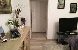 Apartament spatios de 3 camere, 60 mp,  Take Ionescu