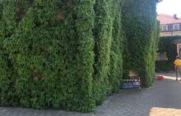 Complex de vile suprafata utila, 1500 mp, Timisoara!