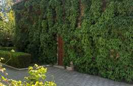 Complex de vile suprafata utila, 1500 mp, Timisoara!