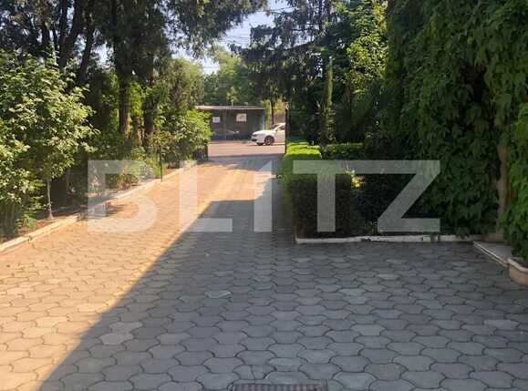 Spațiu comercial de vânzare Lipovei - 86843SVC | BLITZ Timișoara | Poza2