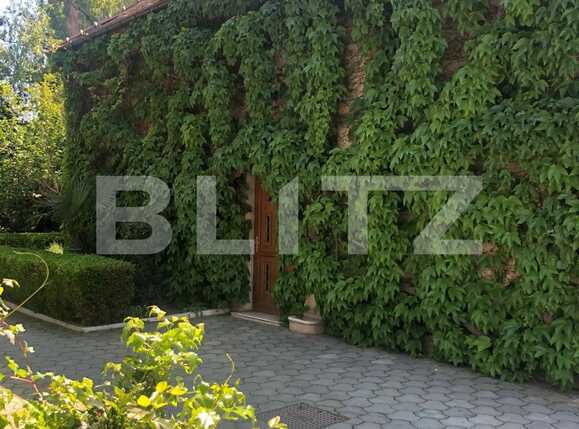 Spațiu comercial de vânzare Lipovei - 86843SVC | BLITZ Timișoara | Poza6