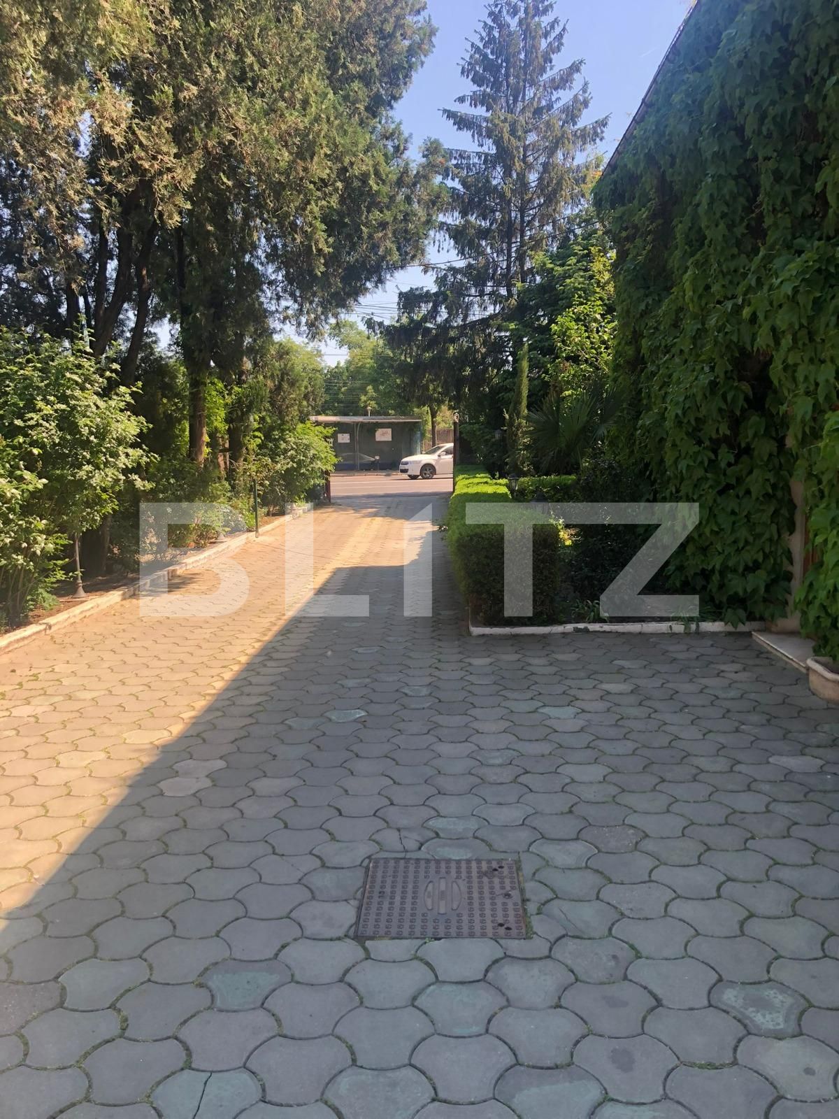 Spațiu comercial de vânzare Lipovei - 86843SVC | BLITZ Timișoara | Poza2
