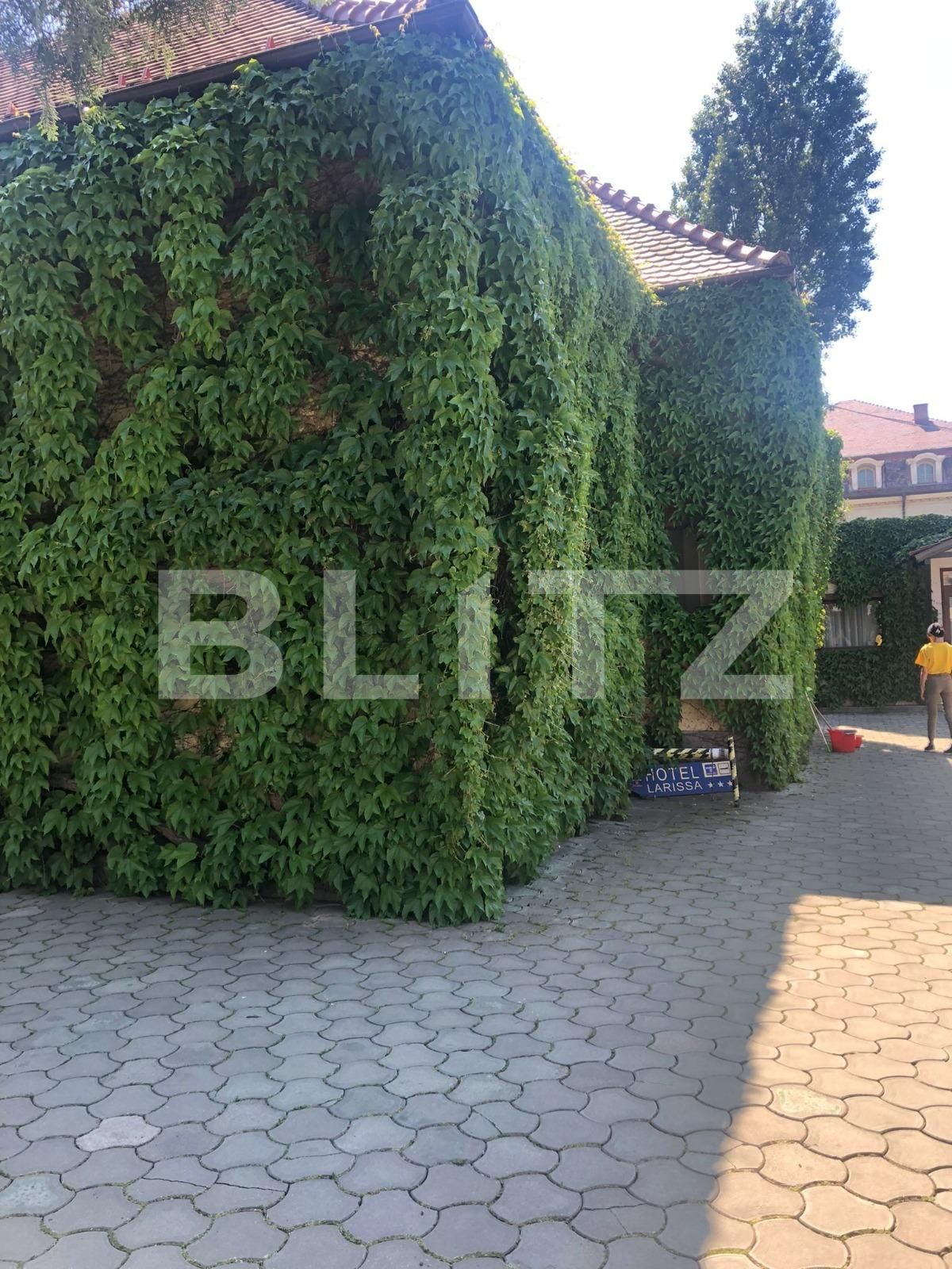 Spațiu comercial de vânzare Lipovei - 86843SVC | BLITZ Timișoara | Poza5