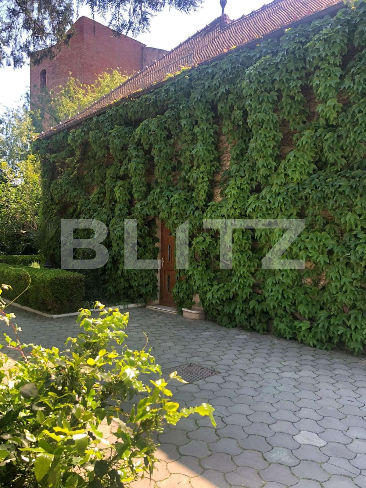 Spațiu comercial de vânzare Lipovei - 86843SVC | BLITZ Timișoara | Poza6