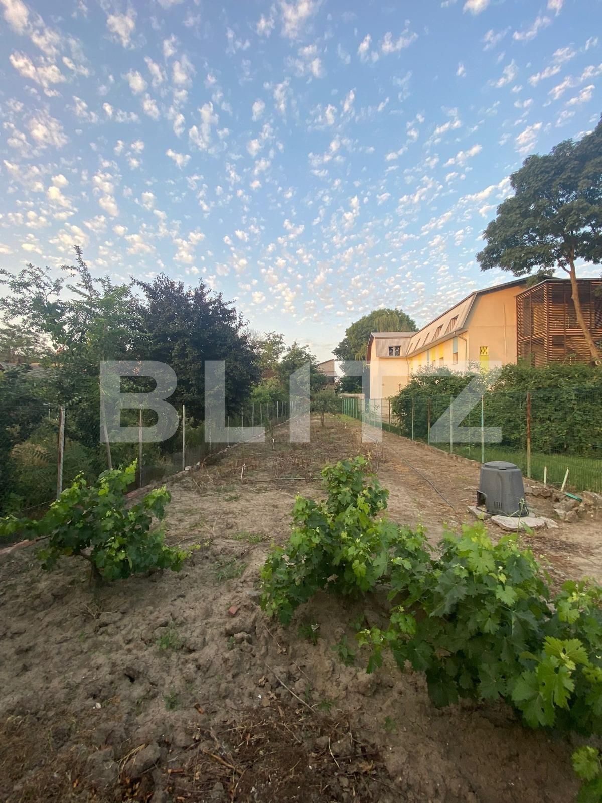 Casa de vânzare 8 camere Iosefin - 87357CV | BLITZ Timișoara | Poza6