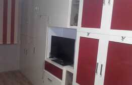 Garsoniera, 21 mp, etaj intermediar, pe malul Begai