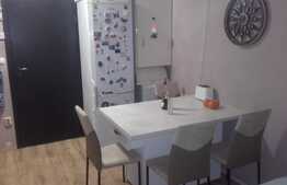 Garsoniera, 21 mp, etaj intermediar, pe malul Begai