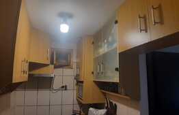 Garsoniera, 21 mp, etaj intermediar, pe malul Begai