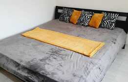 Apartament de 1 camera, 44 mp, curte, zona Balcescu