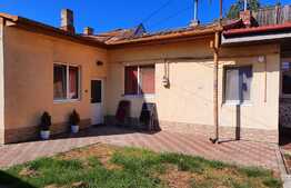 Apartament de 1 camera, 44 mp, curte, zona Balcescu