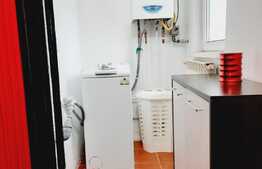 Apartament de 1 camera, 44 mp, curte, zona Balcescu