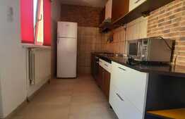 Apartament de 1 camera, 44 mp, curte, zona Balcescu