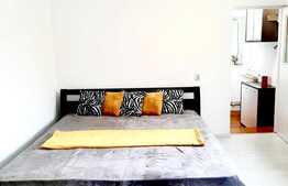 Apartament de 1 camera, 44 mp, curte, zona Balcescu