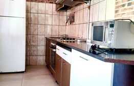 Apartament de 1 camera, 44 mp, curte, zona Balcescu