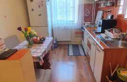 Apartament 2 camere, 44 mp, etaj intermediar, Complex Studentesc