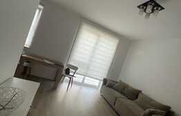  Apartament 2 camere, 48 mp, terasa, zona linistita, Dumbravita