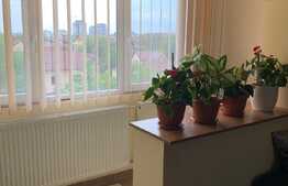 Apartament de 2 camere, 60 mp, decomandat, zona Lipovei