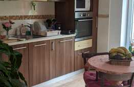 Casa 5 camere, 196 mp, teren 600 mp, parcare, Dumbravita