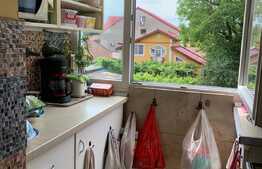 Apartament de 3 camere, 57 mp, etaj intermediar, zona Lipovei