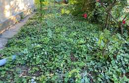 Apartament de 1 camera, decomandat, 36 mp, zona Brancoveanu