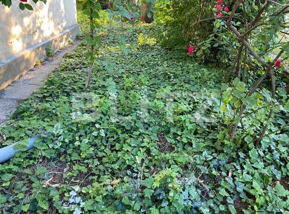 Garsonieră de vânzare Brancoveanu - 88131AV | BLITZ Timișoara | Poza11