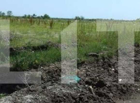 Teren de vânzare Aeroport - 88199TV | BLITZ Timișoara | Poza6