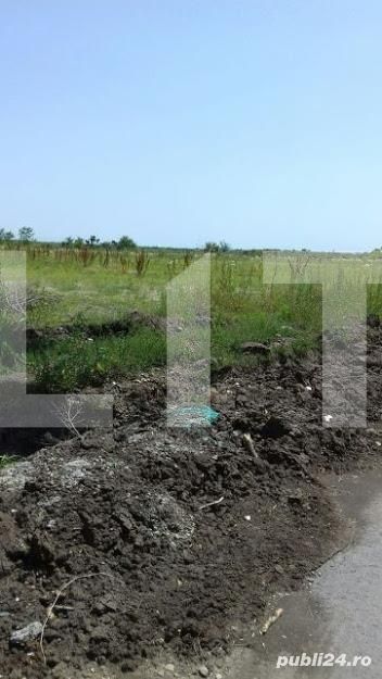 Teren de vânzare Aeroport - 88199TV | BLITZ Timișoara | Poza6