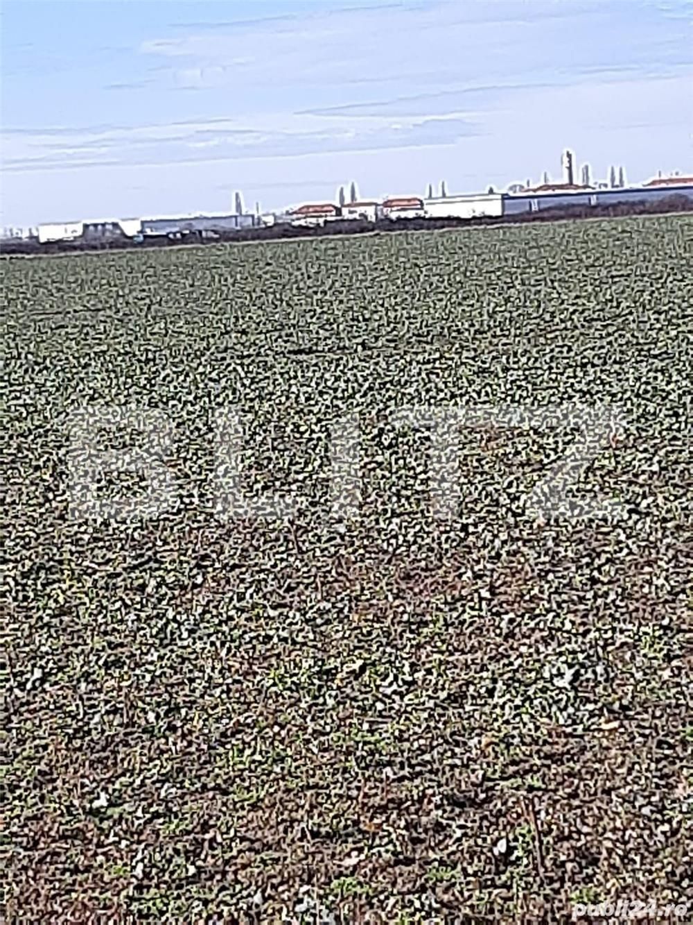 Teren de vânzare Aeroport - 88199TV | BLITZ Timișoara | Poza7