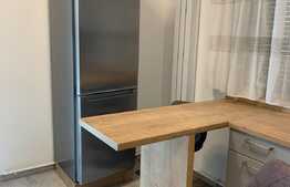 Apartament de 2 camere, 56 mp, gradina 117 mp, Dumbravita