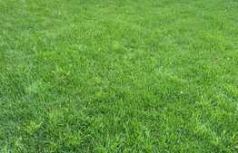 Apartament de 2 camere, 56 mp, gradina 117 mp, Dumbravita