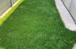 Apartament de 2 camere, 56 mp, gradina 117 mp, Dumbravita