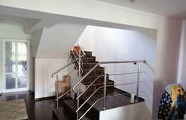 Vila p+1 cu spatiu comercial si 700 mp teren Mosnita Veche