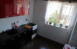 Vila p+1 cu spatiu comercial si 700 mp teren Mosnita Veche