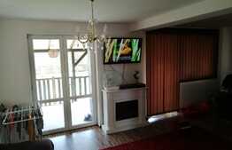 Vila p+1 cu spatiu comercial si 700 mp teren Mosnita Veche