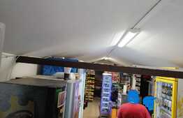 Vila p+1 cu spatiu comercial si 700 mp teren Mosnita Veche