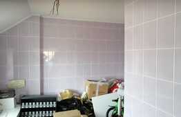 Vila p+1 cu spatiu comercial si 700 mp teren Mosnita Veche