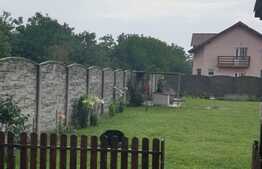 Vila p+1 cu spatiu comercial si 700 mp teren Mosnita Veche