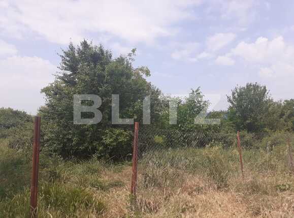 Teren de vânzare Sagului - 88566TV | BLITZ Timișoara | Poza2