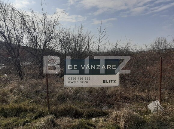 Teren de vânzare Sagului - 88566TV | BLITZ Timișoara | Poza1