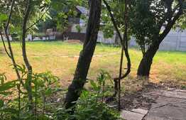 Casa individuala, 112 mp utili, cu teren de 539 mp, Ghiroda Noua