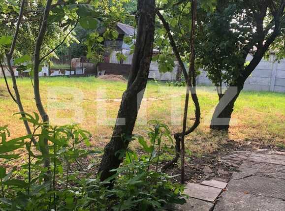 Casa de vânzare 3 camere Crisan - 88607CV | BLITZ Timișoara | Poza11