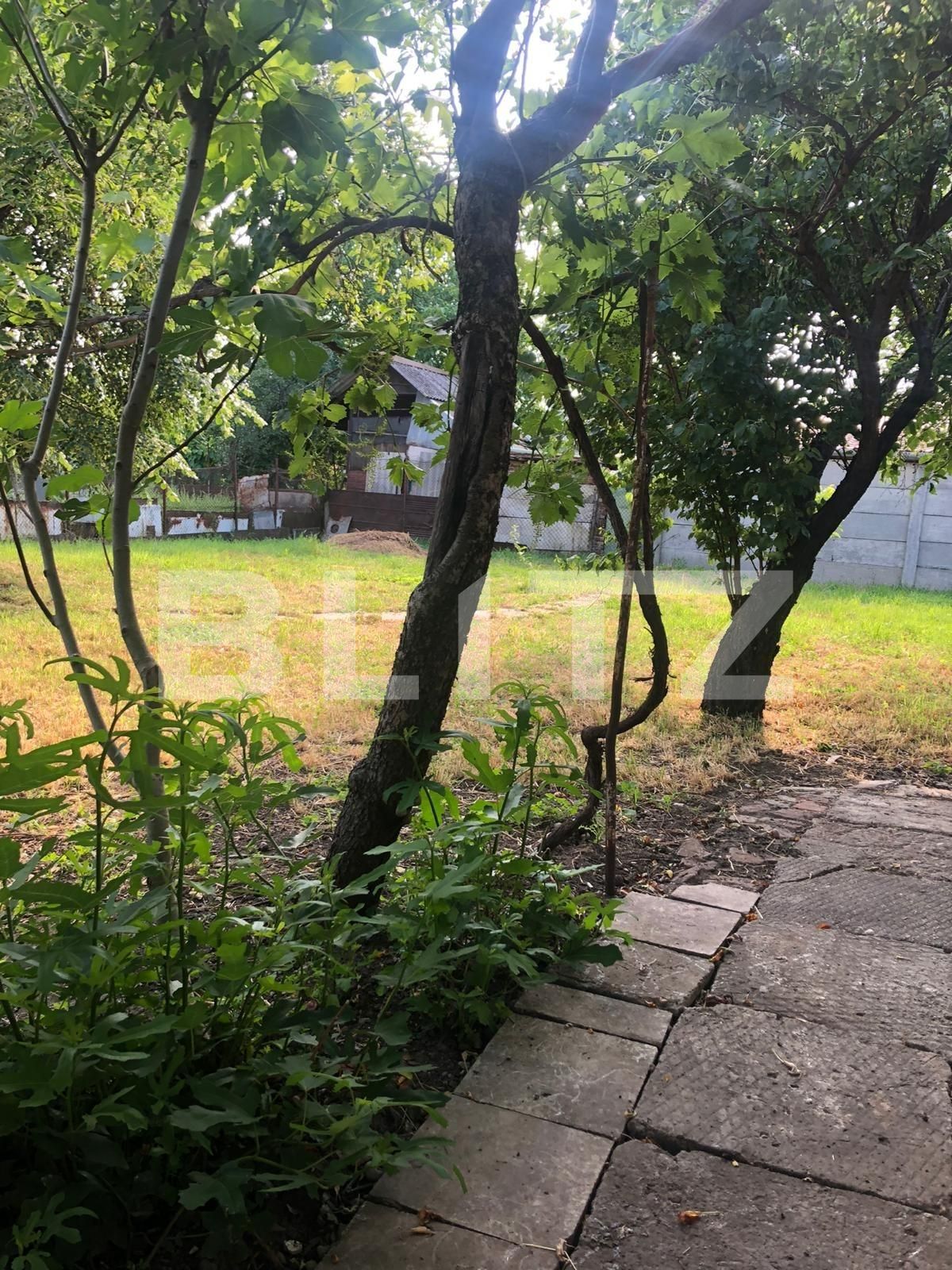 Casa de vânzare 3 camere Crisan - 88607CV | BLITZ Timișoara | Poza11