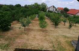 Casa P+E 8 camere, 306mp +1050 mp teren in  Remetea