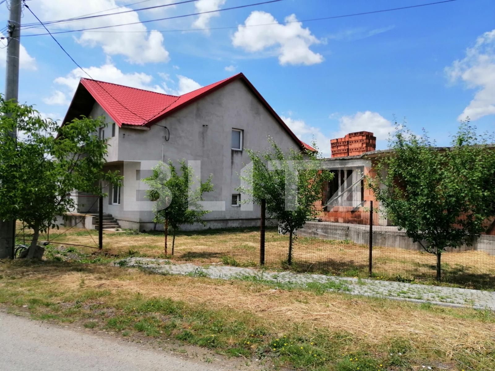 Casa de vânzare 8 camere Remetea Mare - 88619CV | BLITZ Timișoara | Poza4