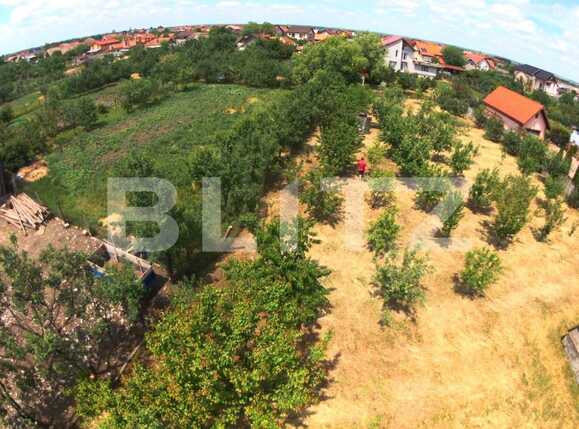 Casa de vânzare 4 camere Remetea Mare - 88631CV | BLITZ Timișoara | Poza3