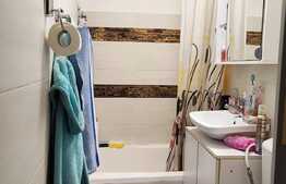 Garsonieră de 18 mp, etaj intermediar, Calea Buziașului