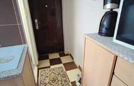 Garsonieră de 18 mp, etaj intermediar, Calea Buziașului