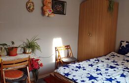 Garsonieră de 18 mp, etaj intermediar, Calea Buziașului