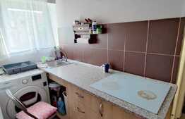 Garsonieră de 18 mp, etaj intermediar, Calea Buziașului